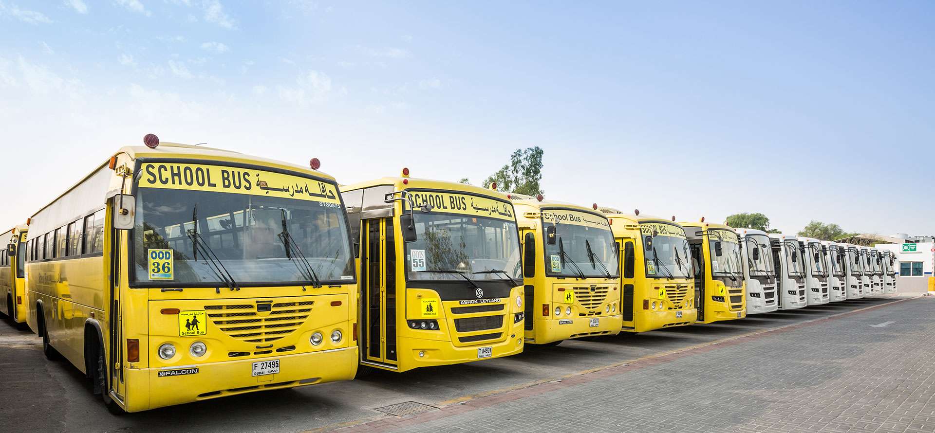 ELPS School Transport